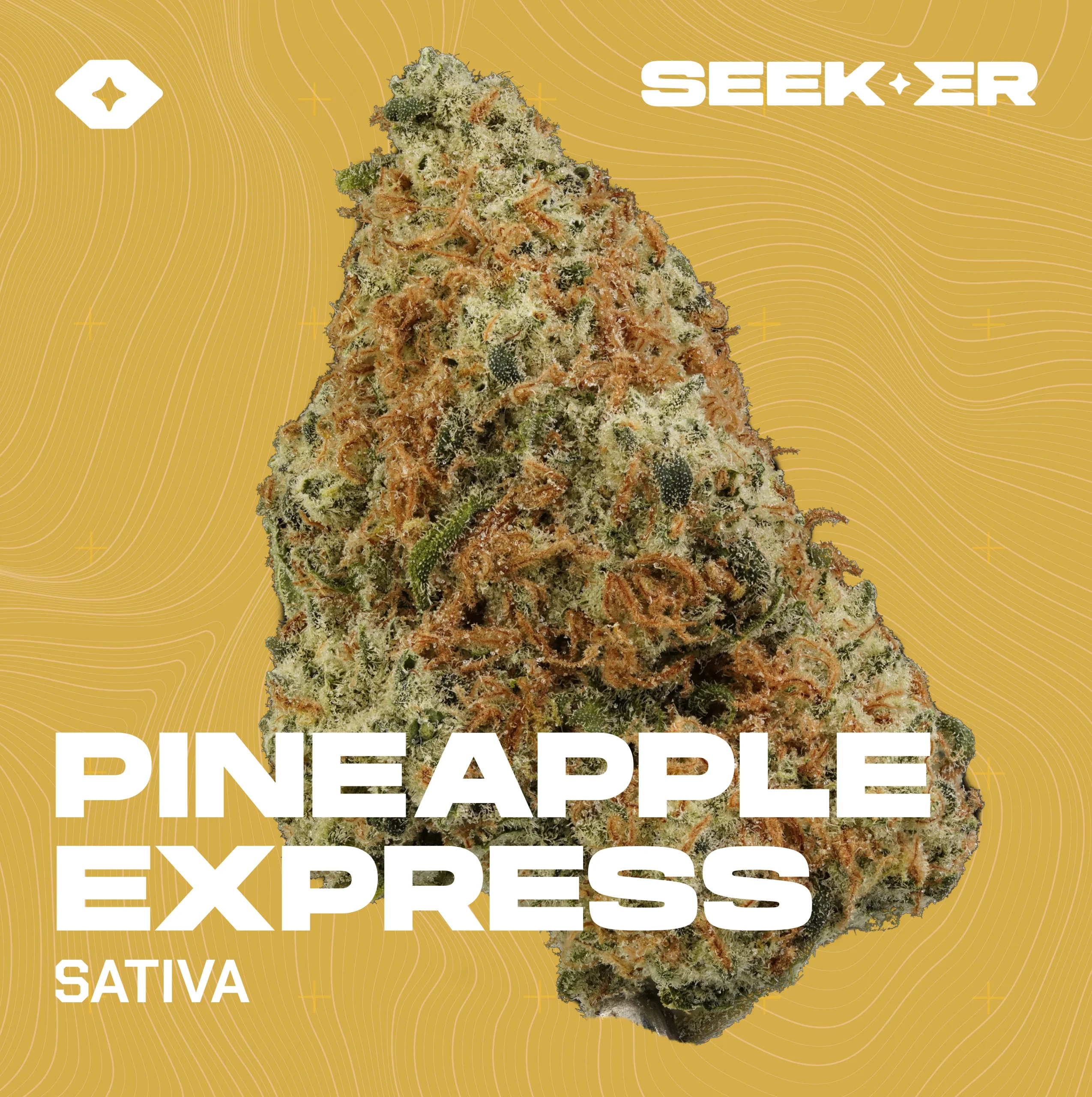Pineapple express strain