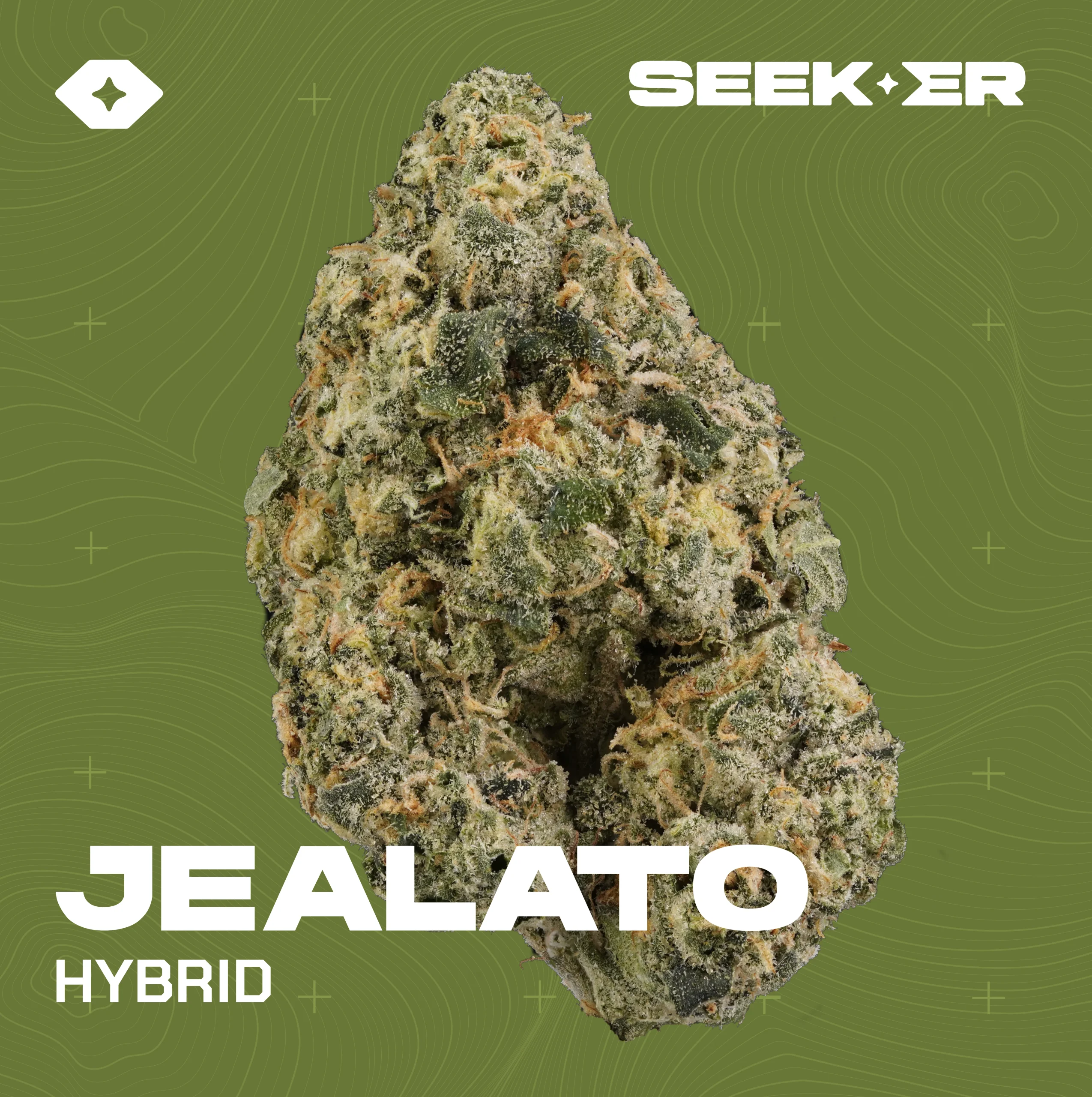 Jelato hybrid strain
