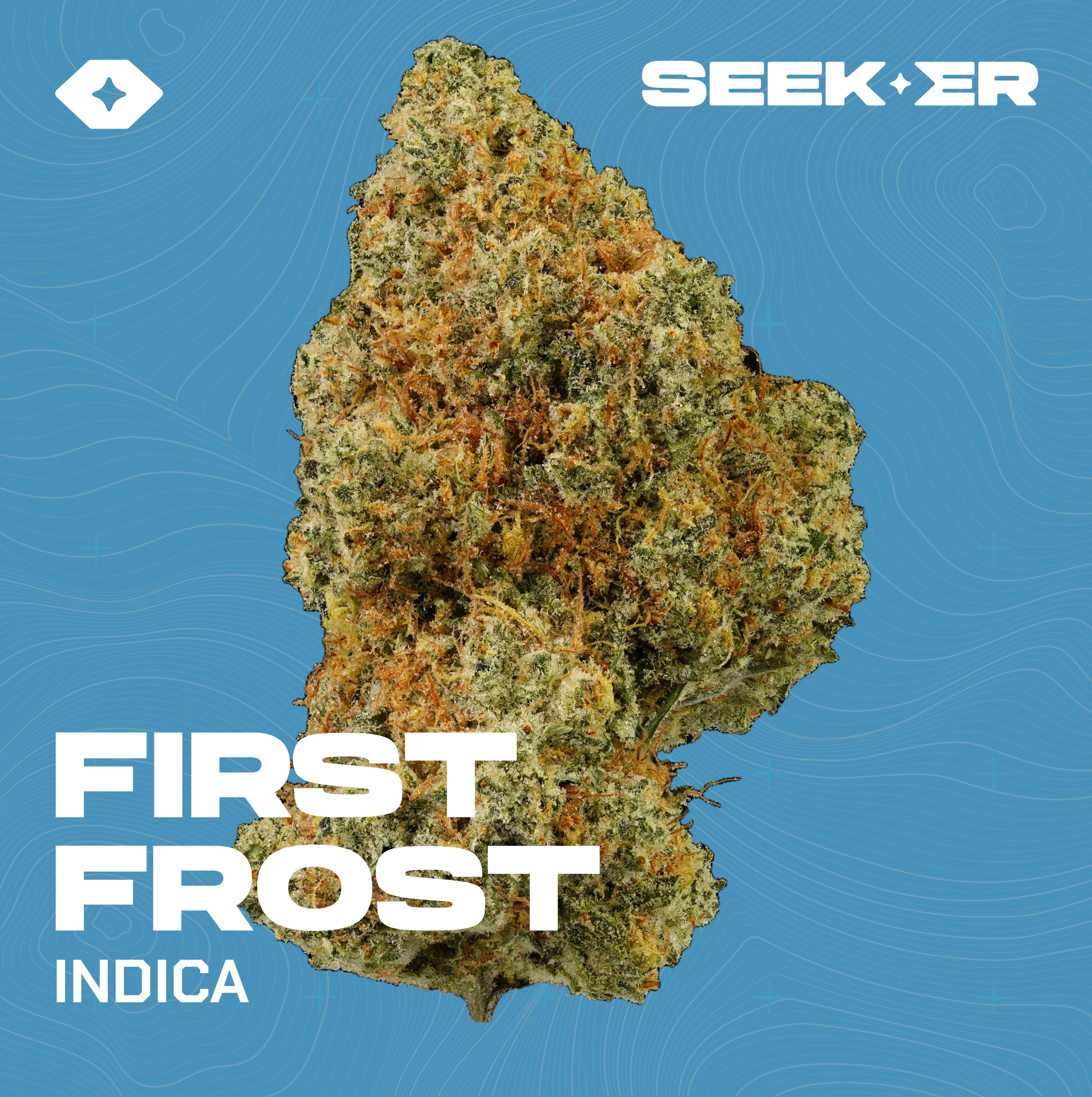 First Frost strain