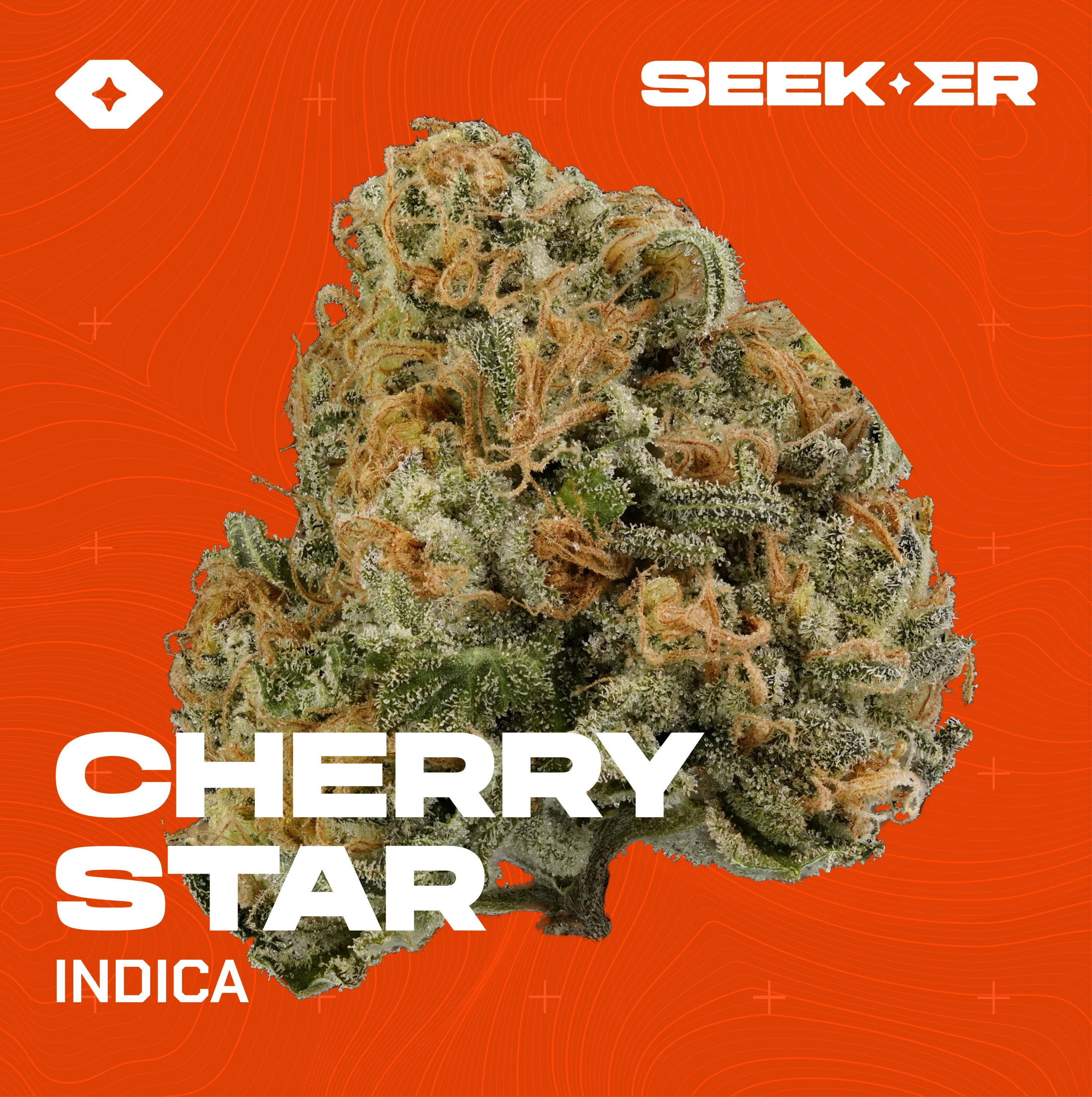 Cherry star strain