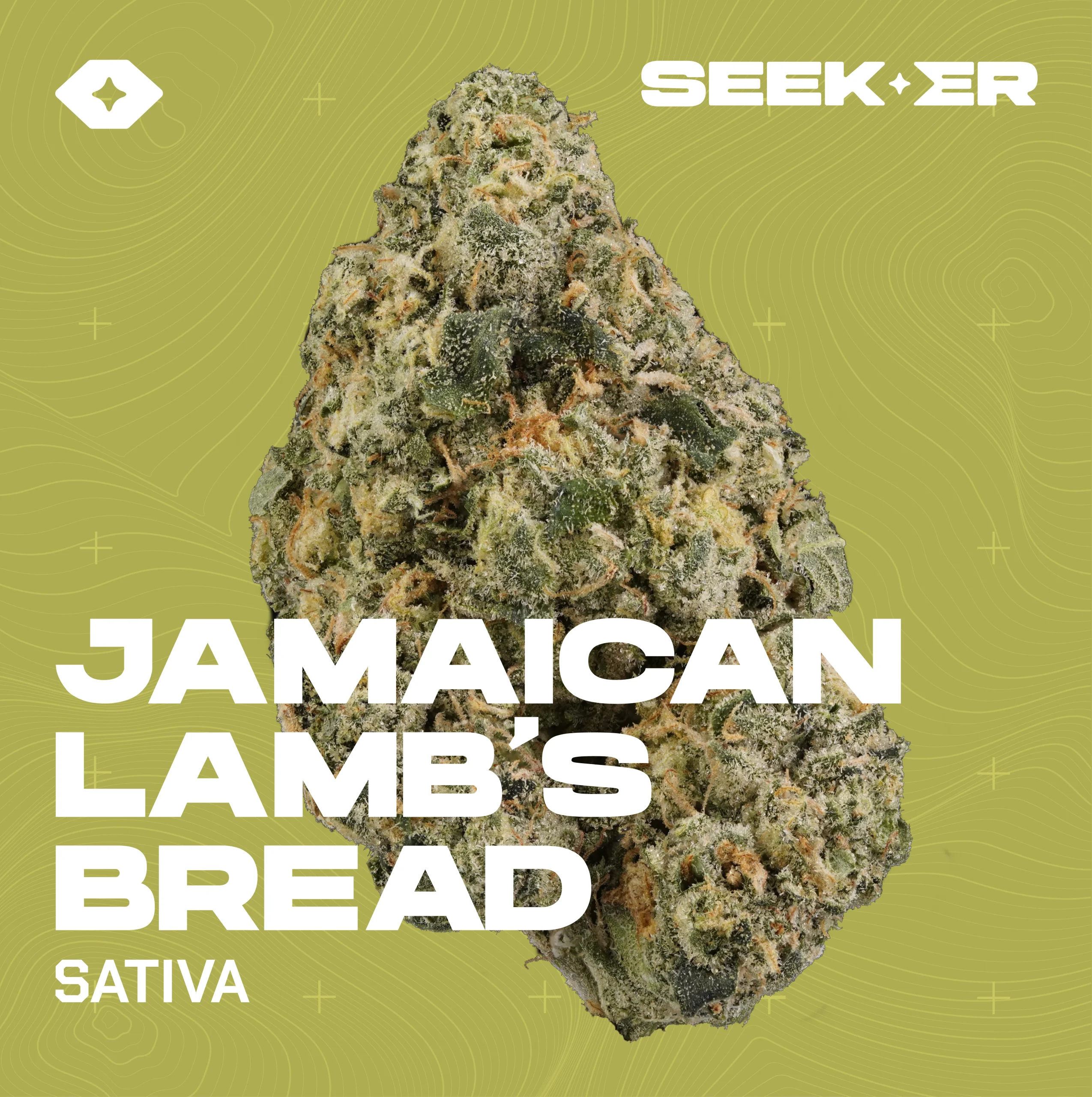 Jamaican Lamb bread strain