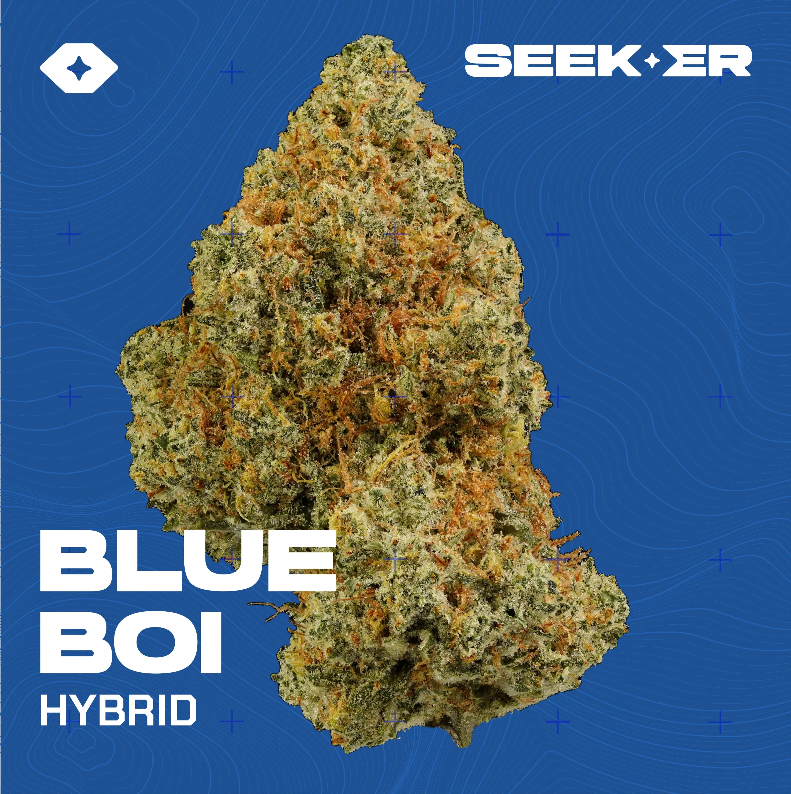Blue Boi strain