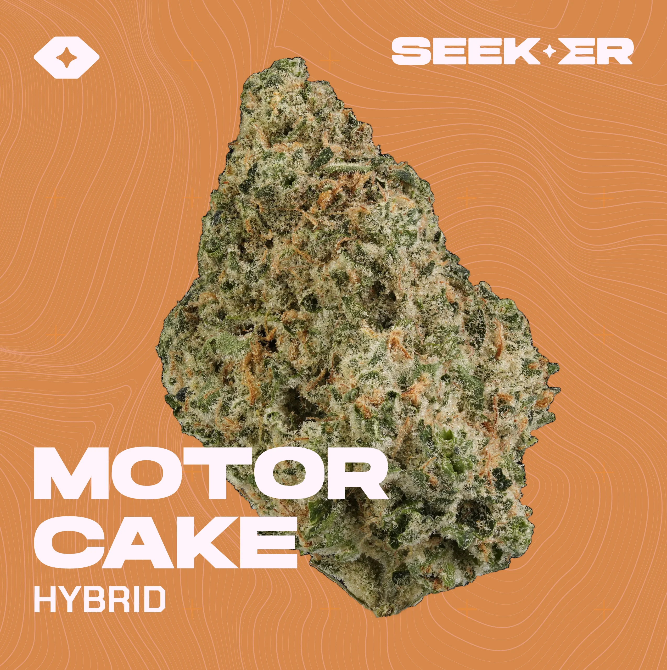 Motor cake strain
