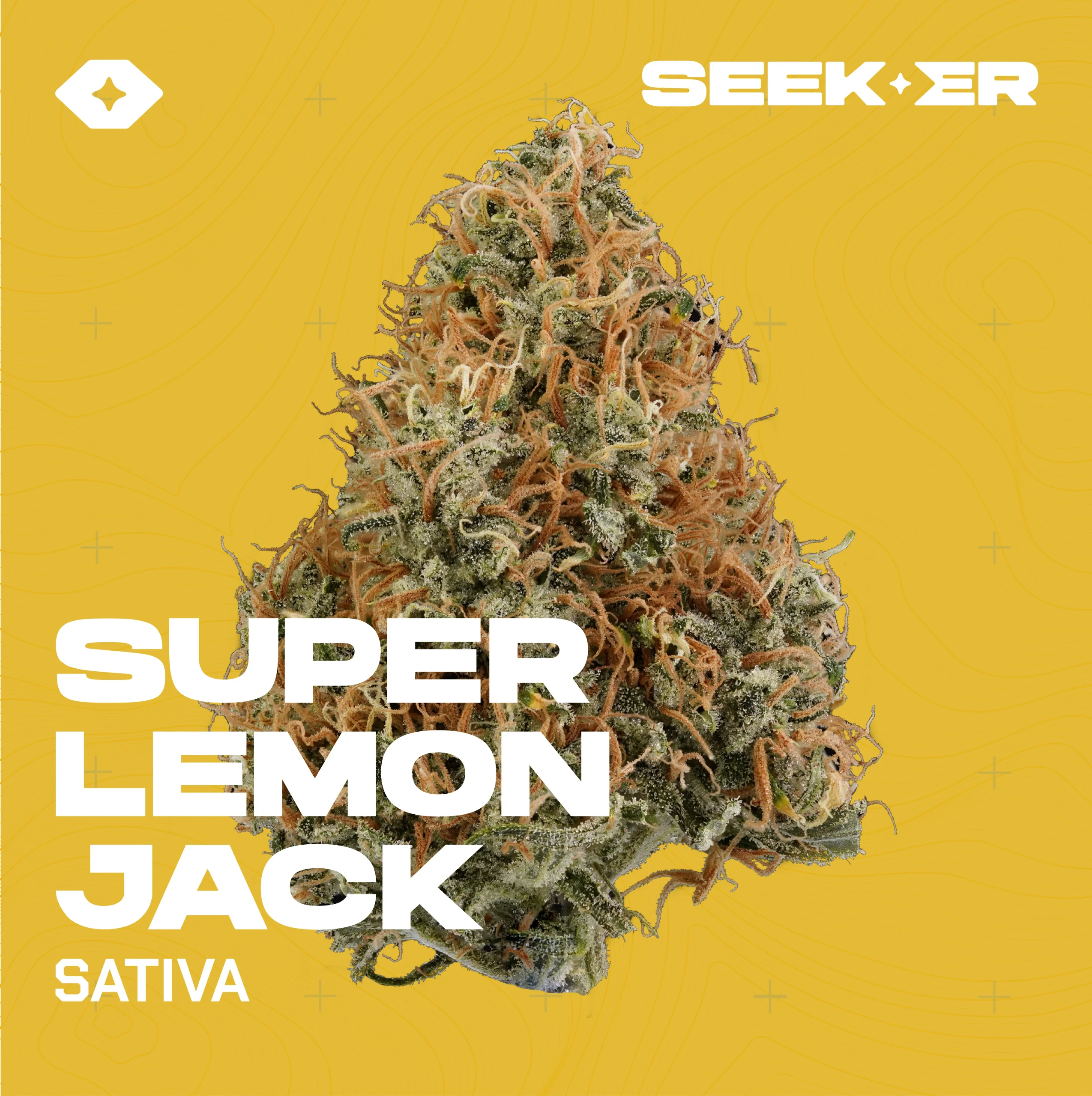 Super Lemon Jack strain