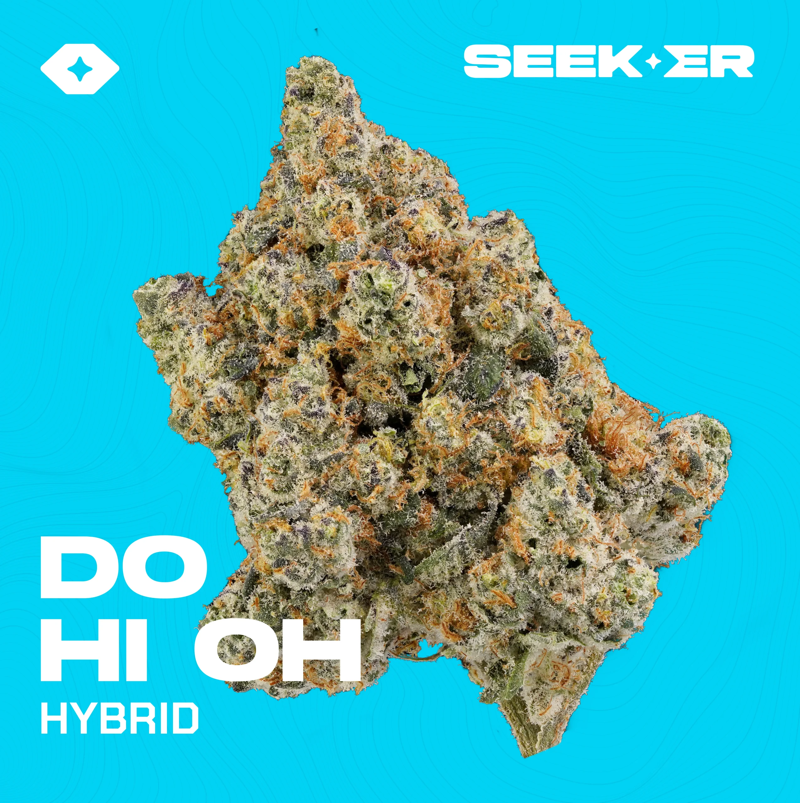 DO HI OH strain