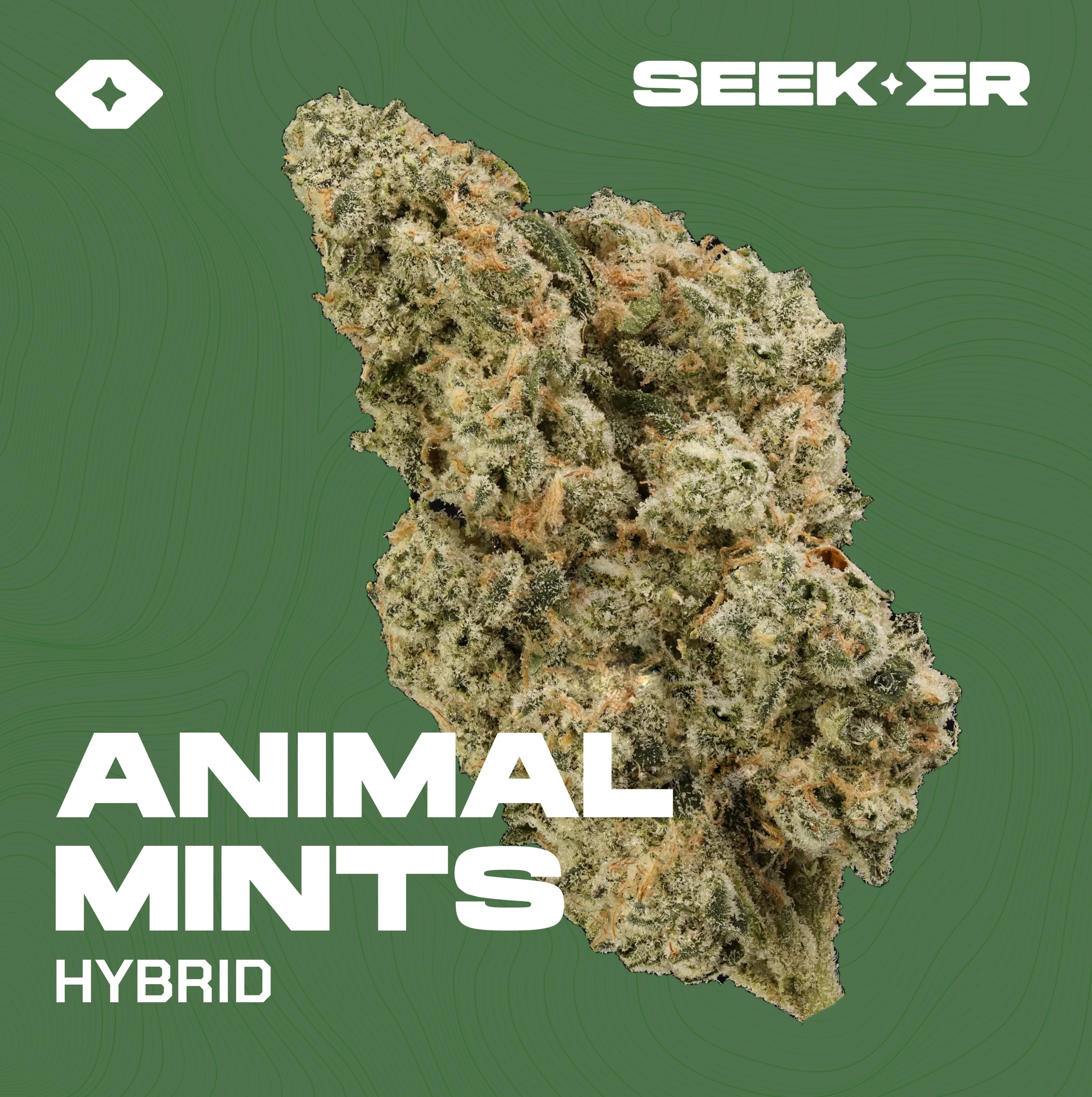 Animal Mintz strain
