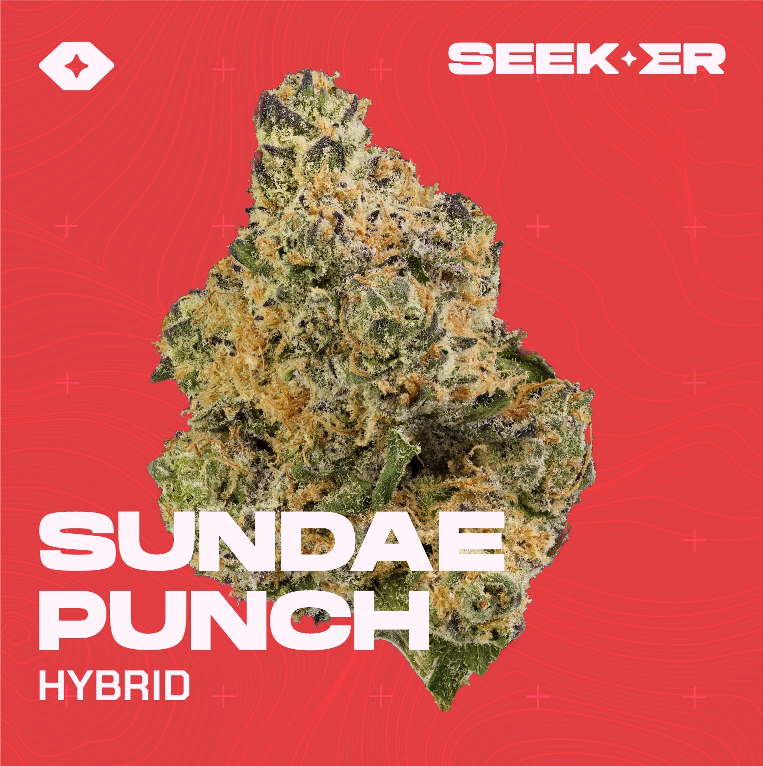 Sunde Punch strain