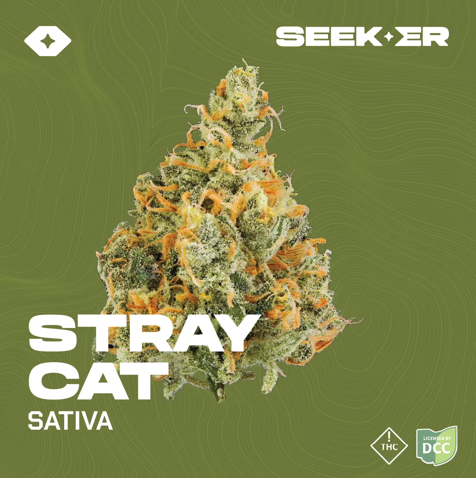 Stray Cat strain